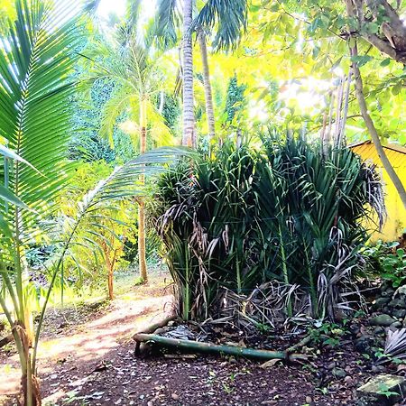 La Familia Guest House And Natural Farm Port Antonio Eksteriør bilde