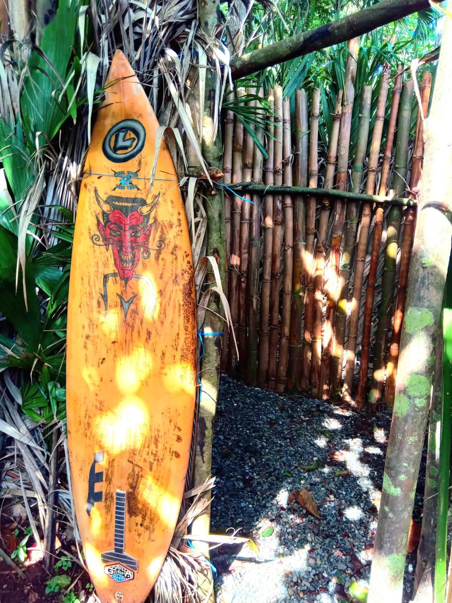 La Familia Guest House And Natural Farm Port Antonio Eksteriør bilde