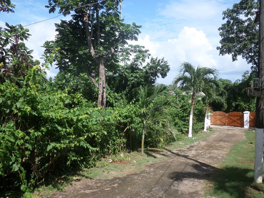 La Familia Guest House And Natural Farm Port Antonio Eksteriør bilde