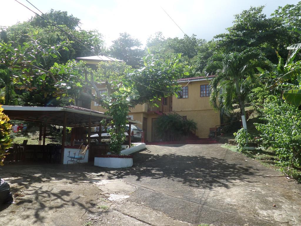 La Familia Guest House And Natural Farm Port Antonio Eksteriør bilde