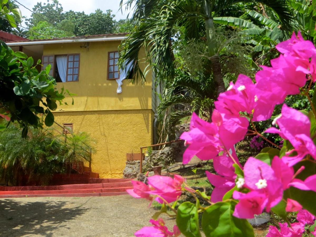 La Familia Guest House And Natural Farm Port Antonio Eksteriør bilde